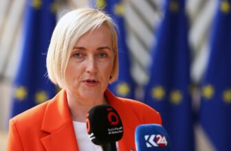 Estonia is the rare EU country opposing child social media bans